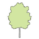 bouteille-eau-vegetale-bouleau