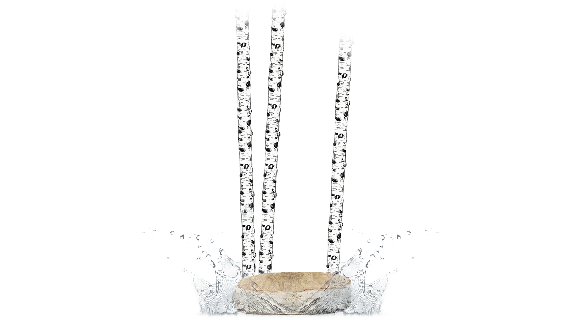 bouleau-eau-vegetale-ui