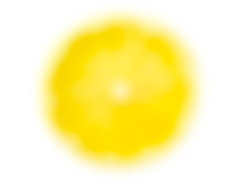 bouteille-eau-vegetale-citron