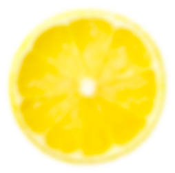 bouteille-eau-vegetale-citron