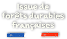 logo_foret_durable_UI_france